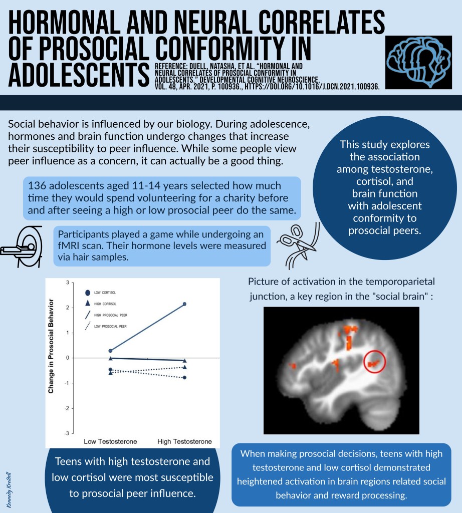 An infographic describing the results of a study on the hormonal and neural correlates of prosocial conformity in adolescents.